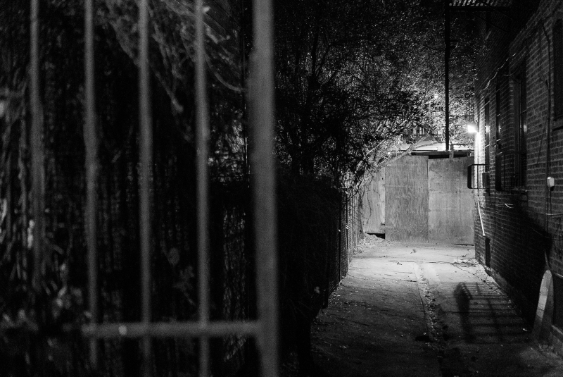 Illustration for article titled Night Shooting With the A7s Mark II: Damn, Technology Is Cool
